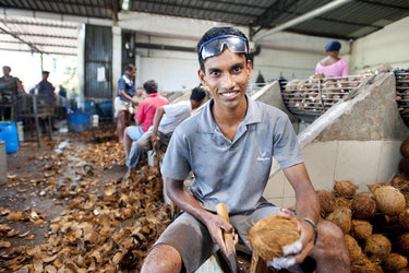 2011 - Dr. Bronner's  et Serendipol (son fournisseur de noix de coco au Sri Lanka) lancent une huile de coco